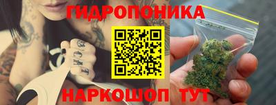 прущие крисы Абакан