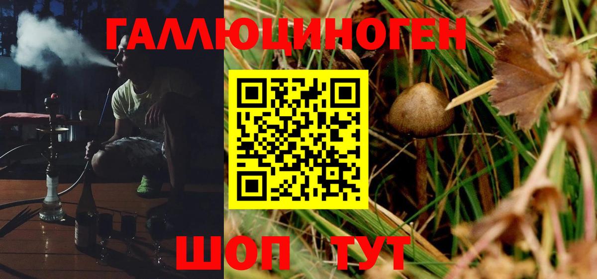 Псилоцибиновые грибы мухоморы Альметьевск