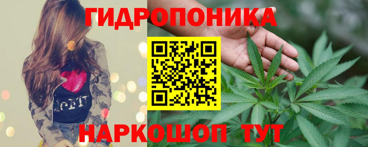 Каннабис семена Альметьевск